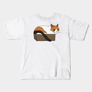 Cat in a Box Kids T-Shirt